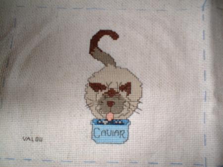 chat