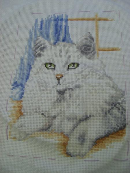 chat vervaco
